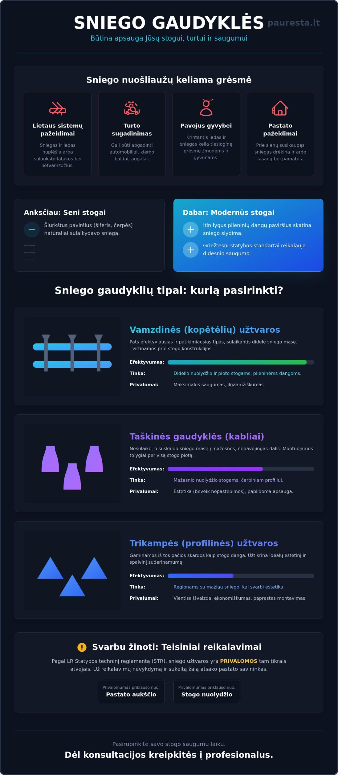 Sniego gaudyklė: Viskas, ką reikia žinoti apie stogo saugumą žiemą